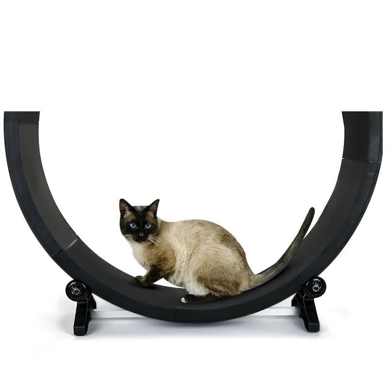 Cat roller treadmill Fitness paw grinding exercise pet treadmill Multifunctional silent treadmill Pet Fitness Furniture
