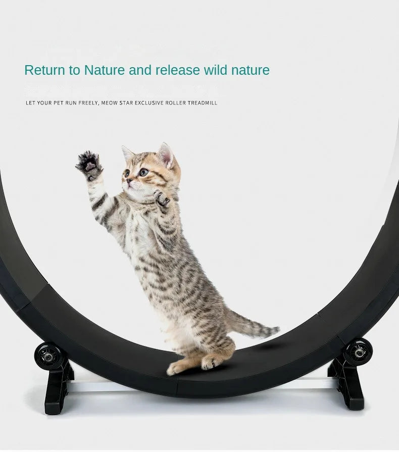 Cat roller treadmill Fitness paw grinding exercise pet treadmill Multifunctional silent treadmill Pet Fitness Furniture