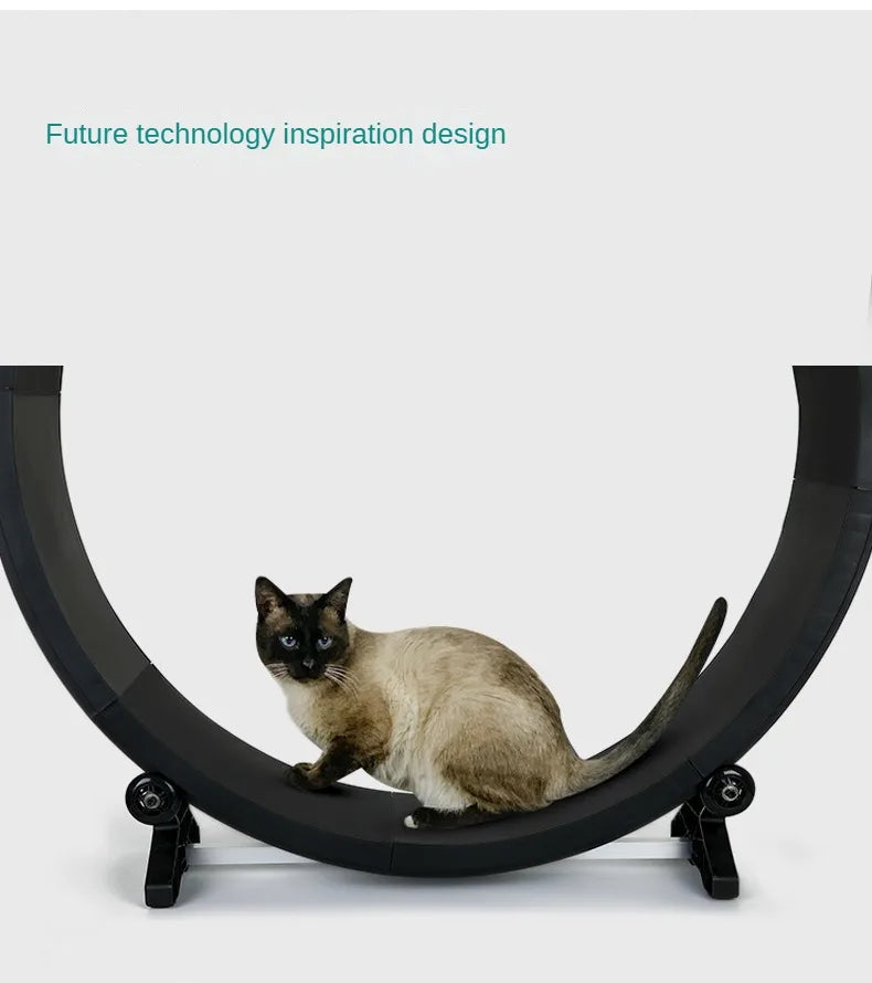 Cat roller treadmill Fitness paw grinding exercise pet treadmill Multifunctional silent treadmill Pet Fitness Furniture