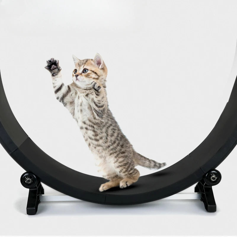 Cat roller treadmill Fitness paw grinding exercise pet treadmill Multifunctional silent treadmill Pet Fitness Furniture