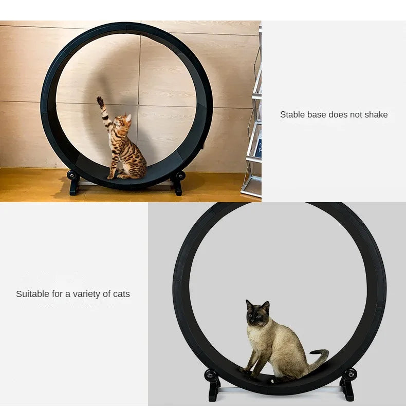 Cat roller treadmill Fitness paw grinding exercise pet treadmill Multifunctional silent treadmill Pet Fitness Furniture